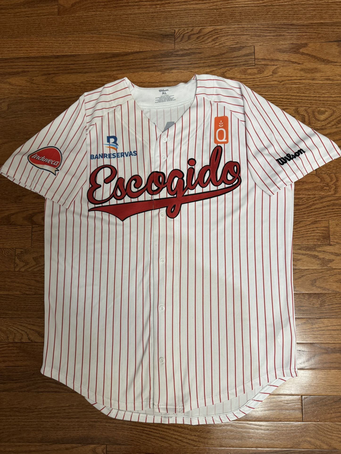 2023 Leones del Escogido Authentic Game Issued Worn Jersey Sz L Dominican League