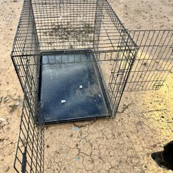 XL Dog Crate 