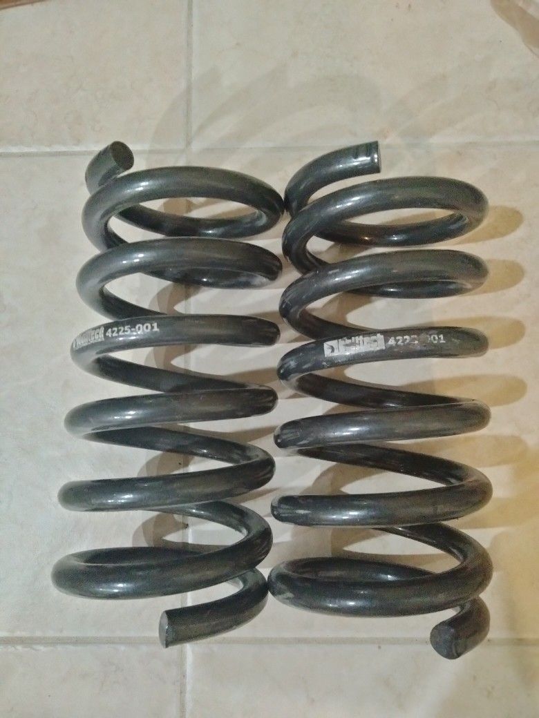 Lowering Springs