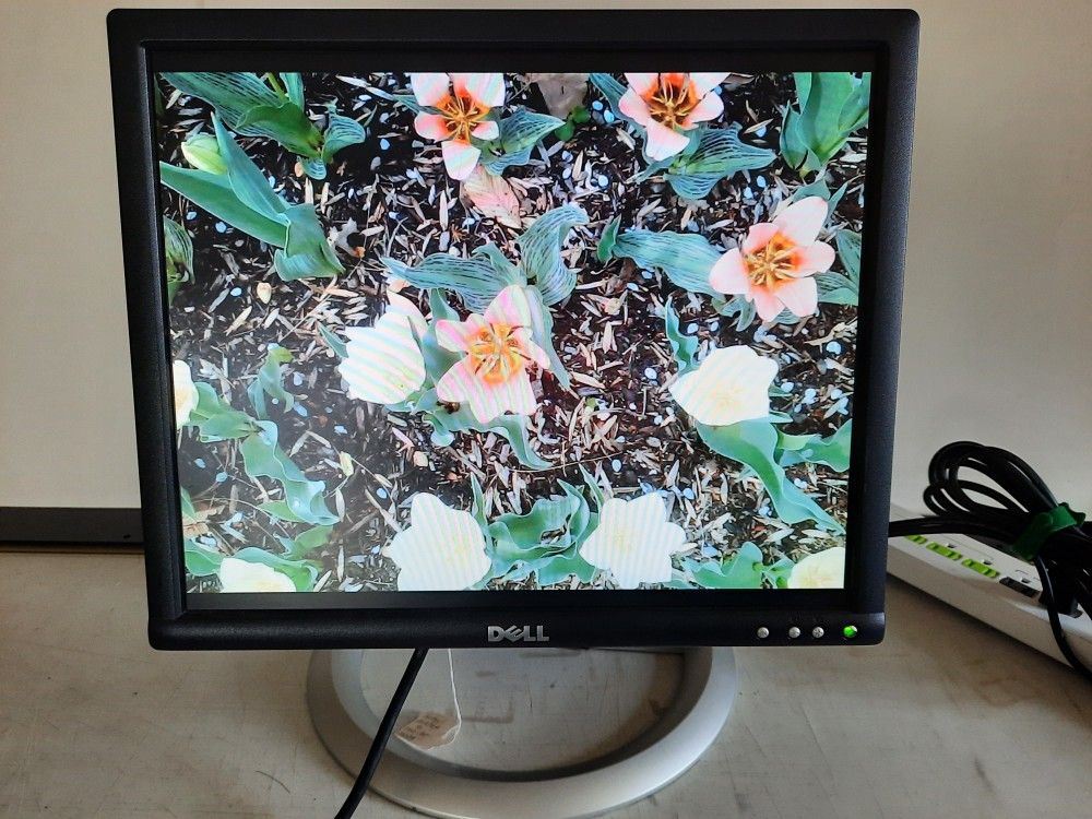 Monitor - DELL 17" HD LCD