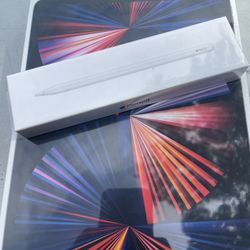 iPad Pro Wi-Fi cellular 5th Gen Apple Pencil 2 Gen