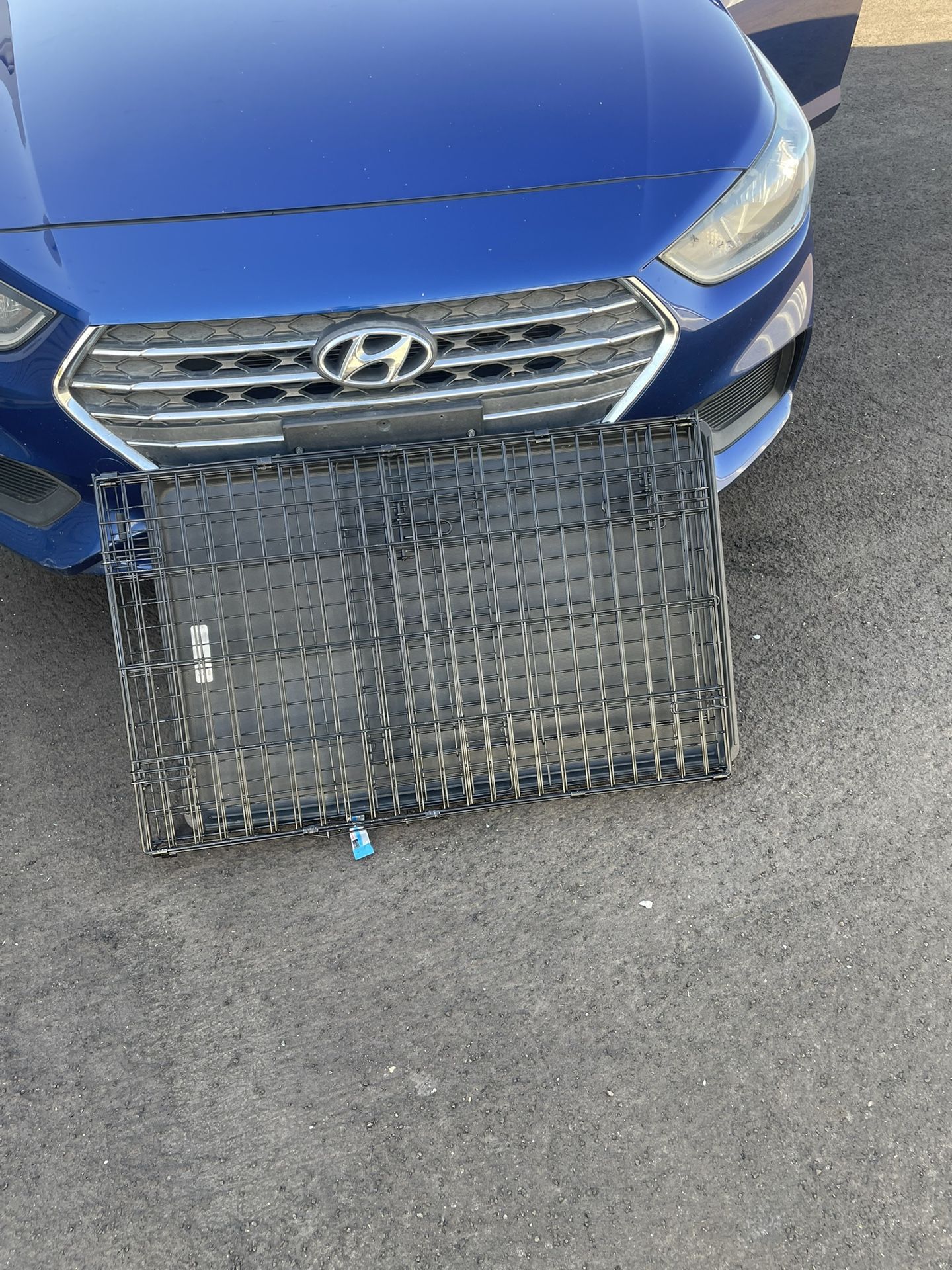 XL Folding Dog Crate