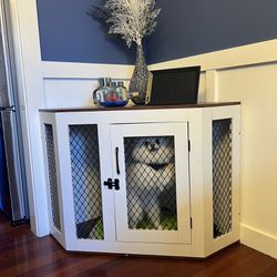 House For Dog