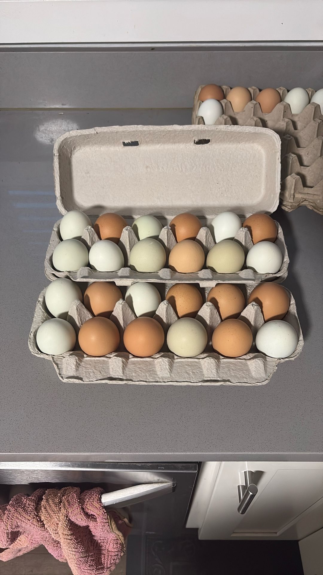 Chicken Chicken Eggs, Assorted Colors, Unwashed