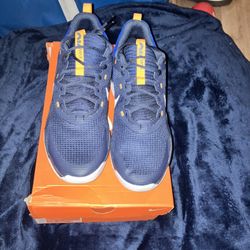 BRAND SPANKIN NEW NIKES IN THE BOX !