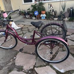 Schwinn tricycle