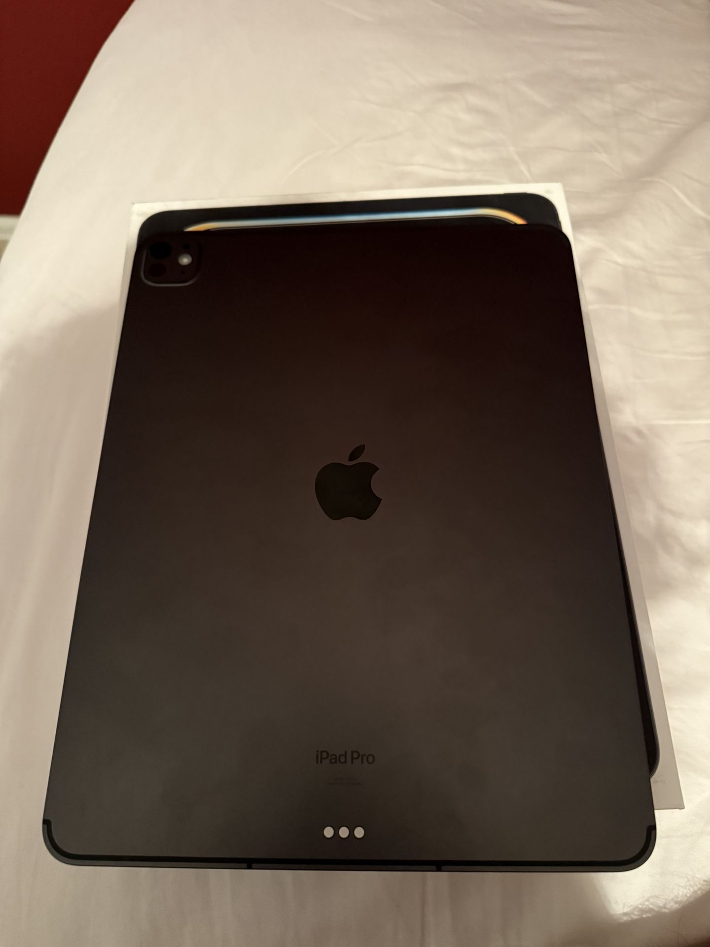 iPad Pro 13 Inch M4 Chip