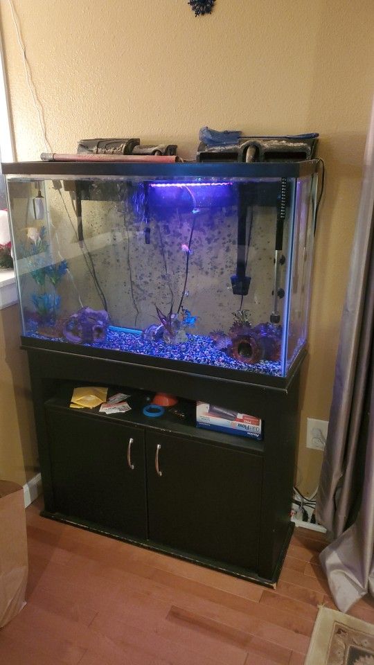 Fish Tank