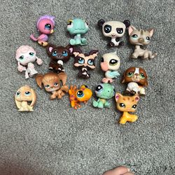LPS lot