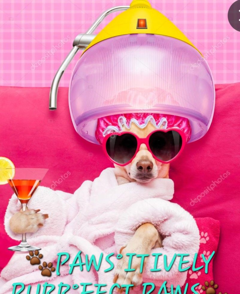 🐾PAWS°ITIVELY PURR°FECT PAWS🐾

