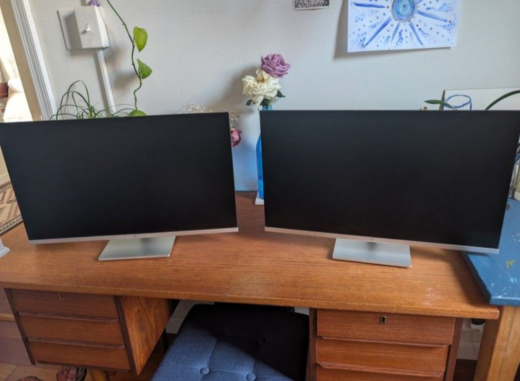 Two 24 Inch Monitors