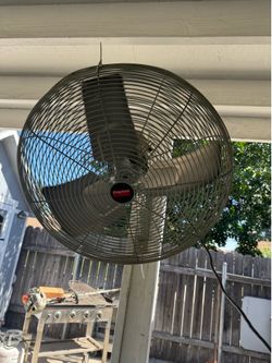 Fan