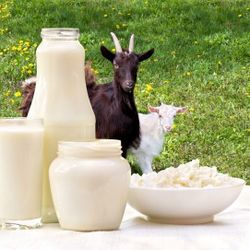 Goat Milk For Sale 