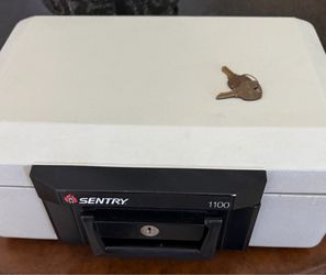 Sentry safe 1100