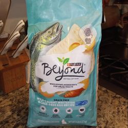 Beyond Grain Free Cat Food 