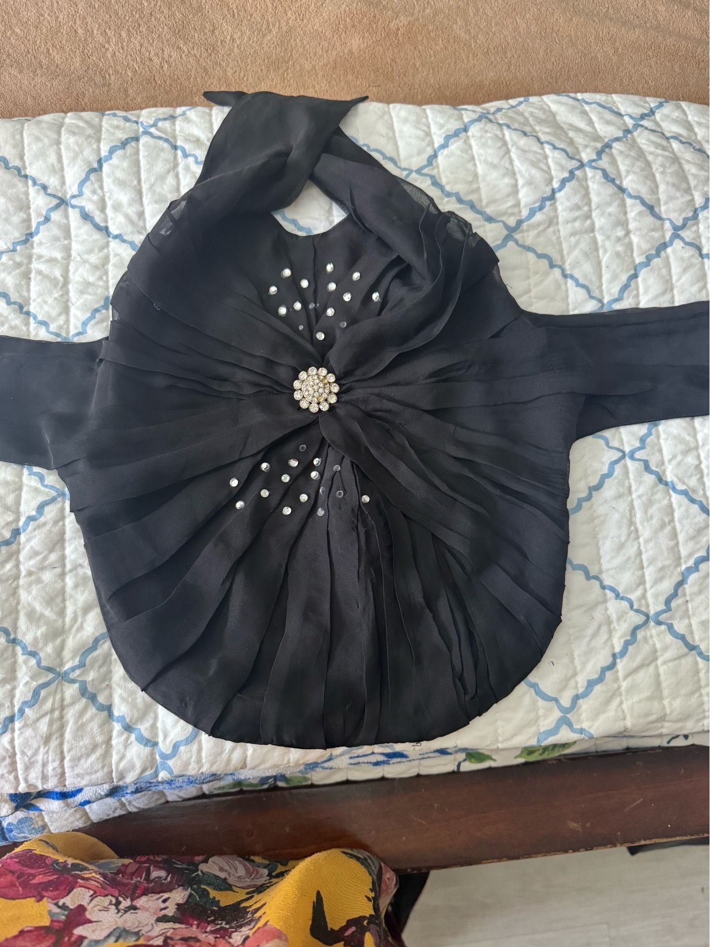 Black chiffon dog dress.