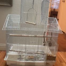 Jaulas (birds Cages)