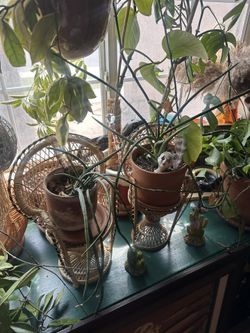 Wicket Chair Plant Stands Mini