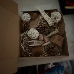 Open Box Bird Chewing Toy