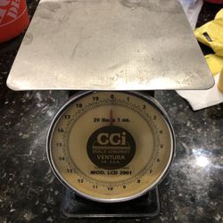 CCi LCD Series 8" Spring Dial Scale