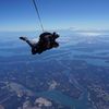 Andrew