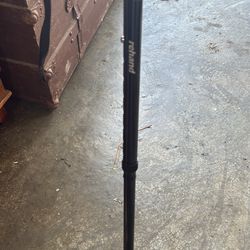 Walking Cane