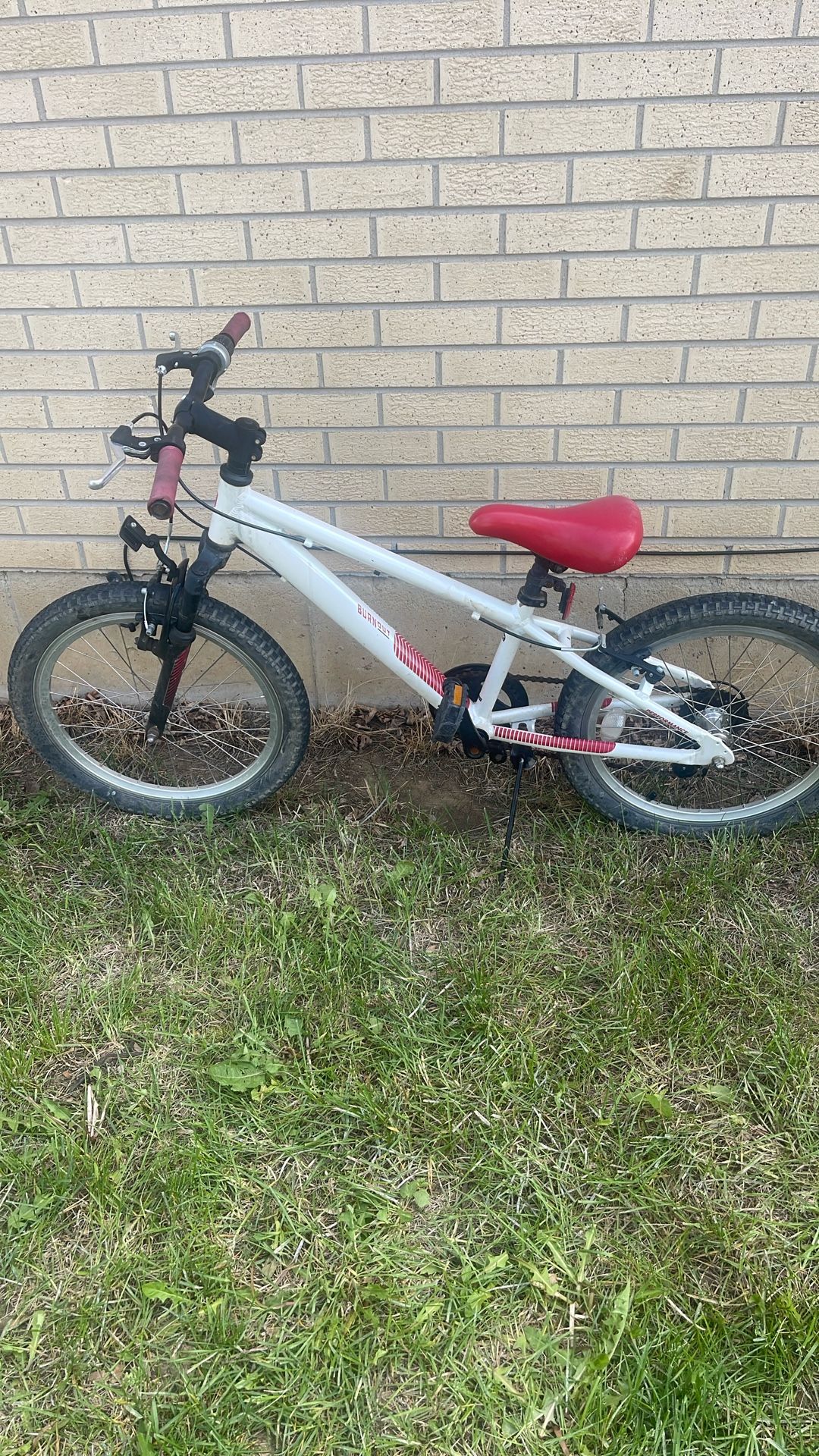 Performance Burnout, 20 Inch Bike