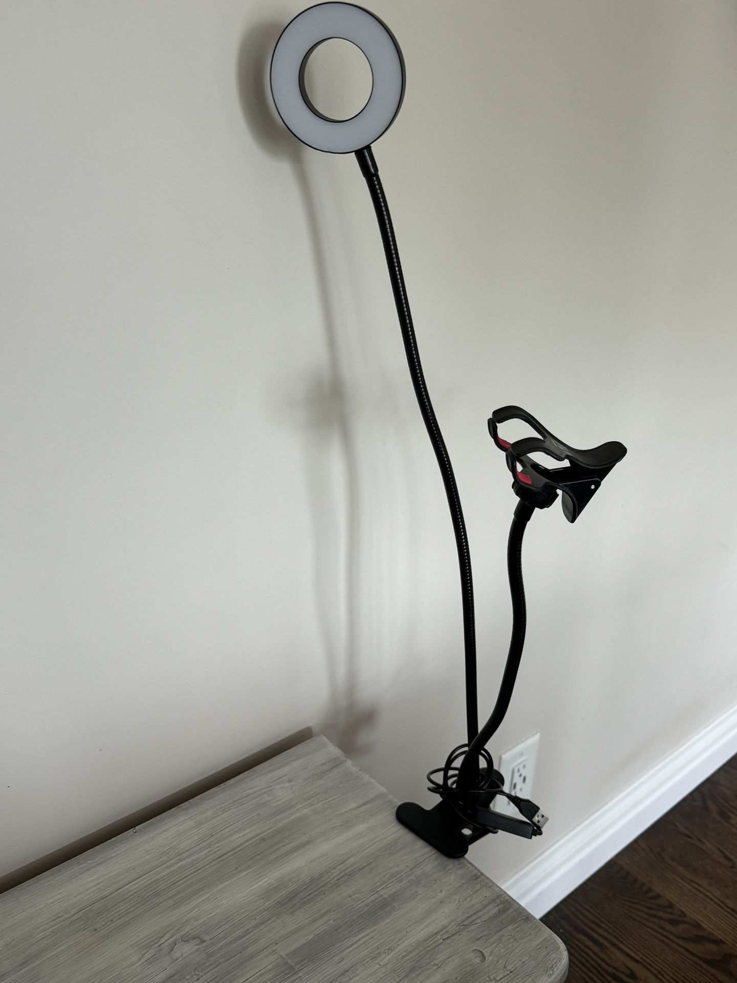Desk/Ring Light