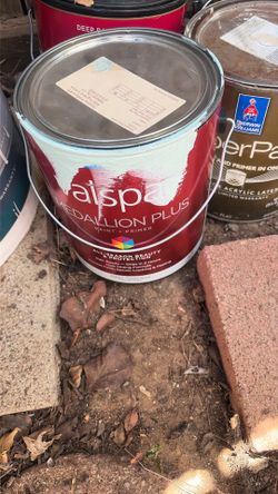 Paint