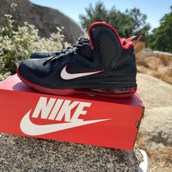 Size10.5 LeBron 9 
