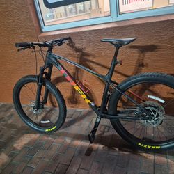 Trek Roscoe 8 mountain bike