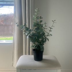Fake eucalyptus plant 