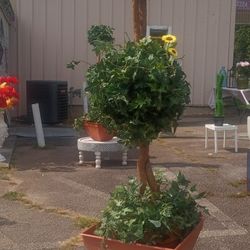  New 51in Boxwood Topiary Trees Artificial Silk