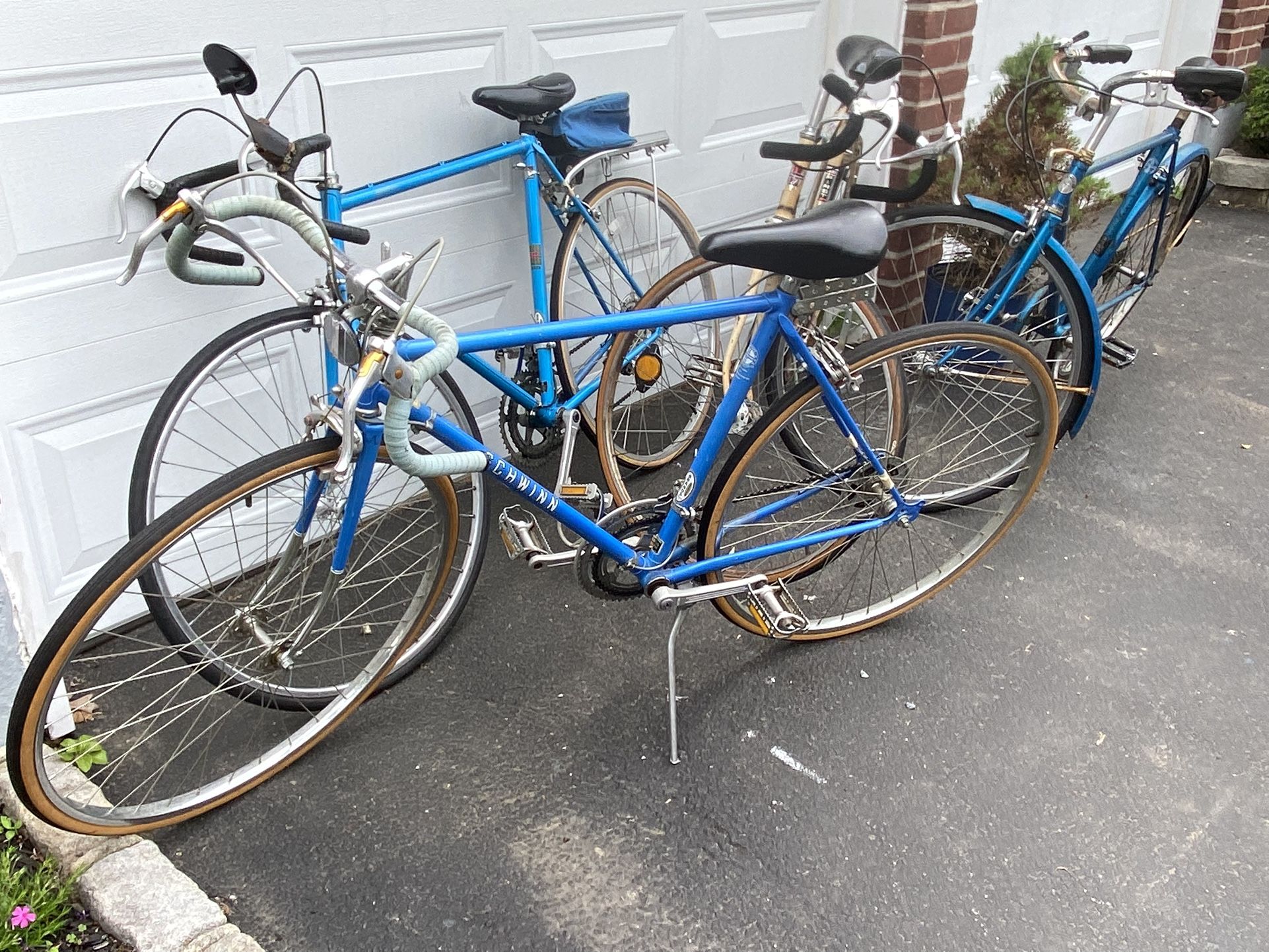 Schwinn Speed Bicycle