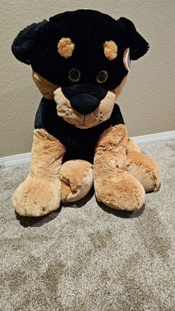 Dave And Busters Dog