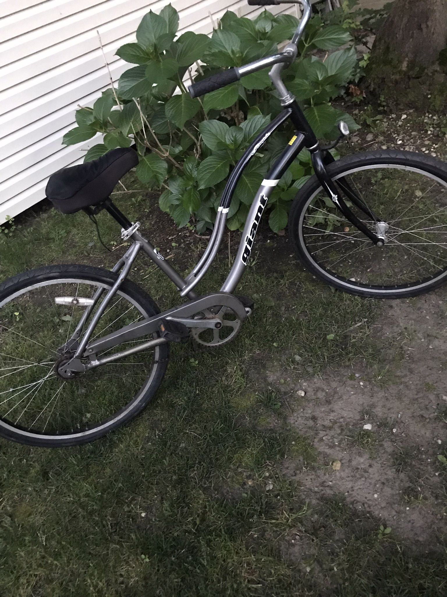 Giant Cruiser Bike