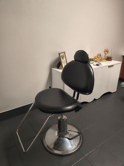 Tattoo / Salon Styling Chair
