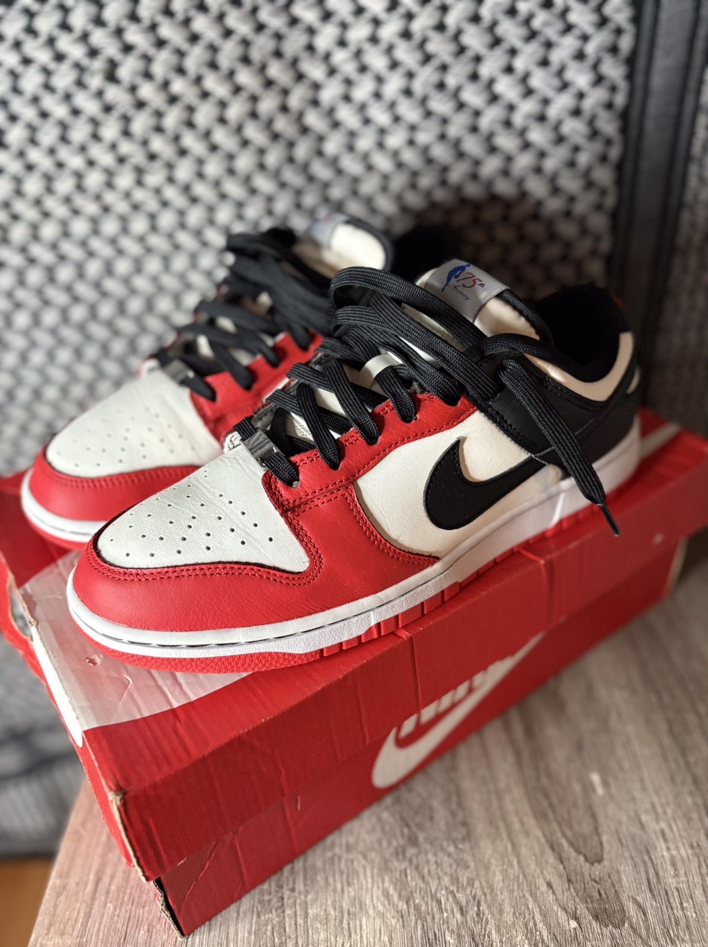 Nike Dunk 75th Anniversary