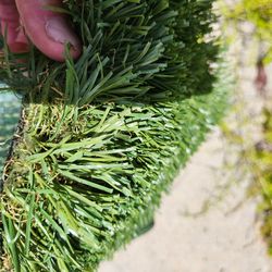 Synthetic Artificial Turf ** El Paso Tx ♻️ 🏜