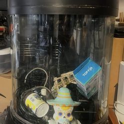 Fish Tank