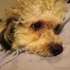Lucy