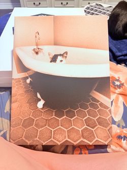 Cat painting