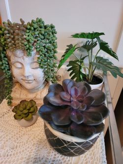 Artificial Succulents and Bust Planter