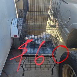 New Bird Cages 