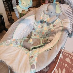 Soothing Baby Bouncer Infant Seat