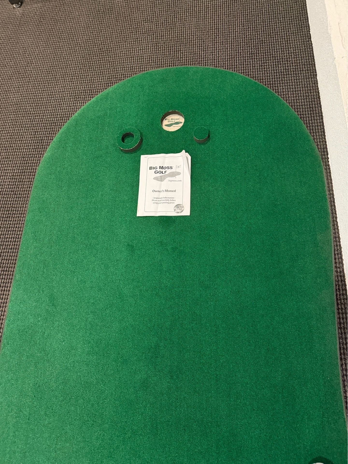 4x10 Golf Putting Mat Green Big Moss Golf