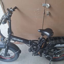 Electric bike
