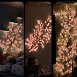 Cherry Led Light