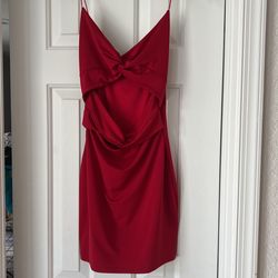 Womens Windsor Red Dress