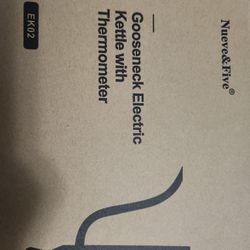 Electric Kettle With Thermometer